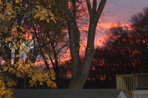 The sun painted an amazing splash of color on the early morning sky.