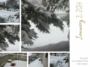 Our first snowfall of the new year!